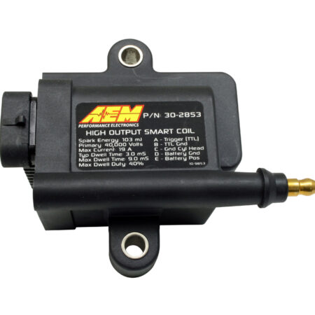 AEM IGN1A COILS