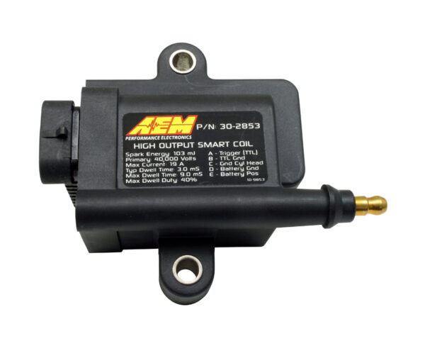 AEM IGN1A COILS